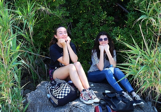 33719779600_08eaaef9cb_zb